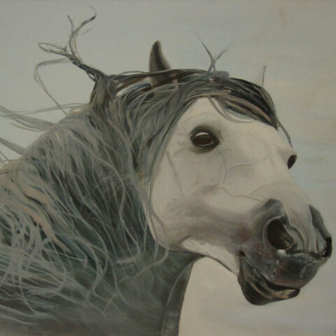 tableau réaliste cheval fougueux crinière au vent blanc et gris